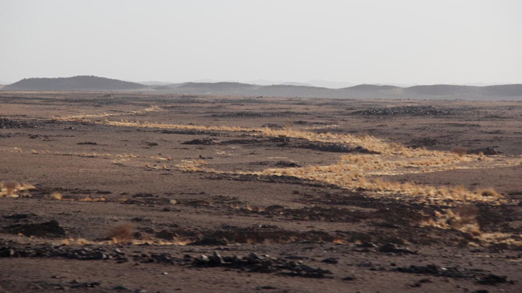 Les rebelles du FLA s'emparent de Tessalit : un tournant dans la guerre au Mali