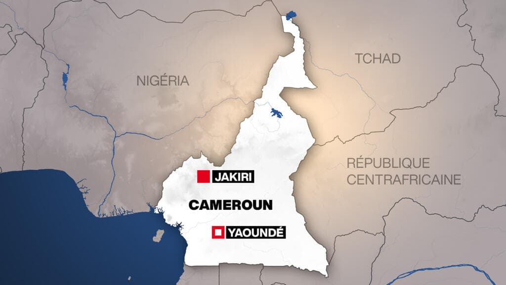 Violences meurtrières au Cameroun : la version du gouvernement face aux inquiétudes des ONG